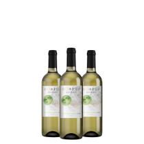 Kit Vinho Branco Corpus Astral Sauvignon Blanc 750ml 03 Unidades
