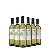 Kit Vinho Branco Corpus Astral Sauvignon Blanc 750ml 06 Unidades