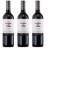 Kit Vinho Casillero del Diablo Reserva Malbec 750ml 3uni