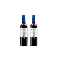 Kit Vinho Chilano Merlot Tinto Seco Chileno 750ml 2 unidades