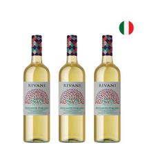 Kit Vinho Frisante Italiano Rivani Frizzante Italiano Bianco - 3 garrafas