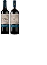 Kit Vinho Tempos de Góes Cabernet Sauvignon Seco 750ml 2uni