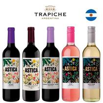 Kit Vinhos Argentinos Astica Kit Vinhos Argentinos Astica