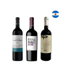Kit Vinhos Argentinos Trapiche Vinecol Piedra Rara Kit Vinhos Argentinos Trapiche Vinecol Piedra Rara