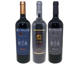 Kit Vinhos Finos Merlot/Cabernet/Tannat Masotti 750ml
