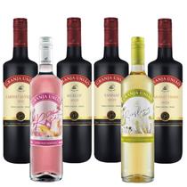 Kit Vinhos Finos Serra Gaúcha Granja União Garibaldi 6un Kit Vinhos Finos Serra Gaúcha Granja União Garibaldi 6un