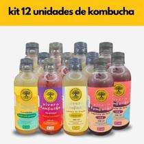 Kit Viver de Kombucha Sabores Sortidos 12 unidades