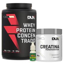 Kit Whey Protein Concentrado - Pote 900G + Creatina - 300g - Dux Nutrition + Óleo de Menta