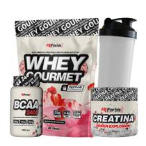 Kit Whey Protein Refil + Creatina 300g + BCAA cáps + Coqueteleira - FN Forbis Nutrition