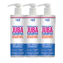 Kit Widi Care 3x Shampoo Higienizando a Juba 500ml