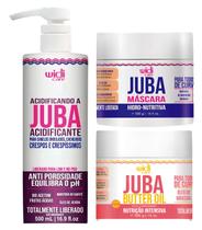 Kit Widi Care Acidificando A Juba + Butter Oil+mascara Juba