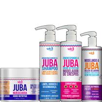 Kit Widi Care Encrespando a Juba Shampoo Higienizando Geleia Seladora Creme de Pentear e Máscara de Hidratação Intensa