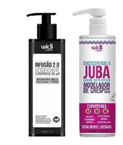 Kit Widi Care Infusão 2.0 Acidificante + Encrespando A Juba