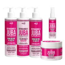 Kit Widi Care Juba Bond Repair Linha Completa