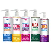 Kit Widi Care Juba Shampoo Cond Encrespando Co Wash Geleia