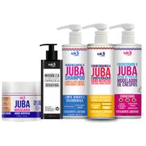 Kit Widi Care Juba Shampoo Cond Encrespando Máscara Acidific