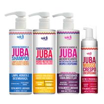 Kit Widi Care Juba Shampoo Condicionador Acidificante Mousse