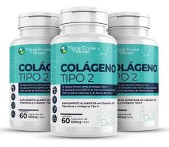 KIT3 Colágeno Tipo 2 UC II 40mg 60 Capsulas - Floral Ervas