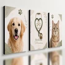 Kit3 Quadro Decorativo Medicina Veterinária Clínica Pet e3