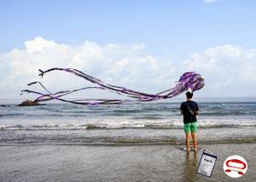 Kite Kizh Kite Octopus Large Parafoil macio sem moldura com 4 m de comprimento