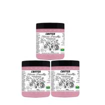 Kits combos com 3 unidades - mascara princellys coiffer 500g Kits combos com 3 unidades - mascara princellys coiffer 500g