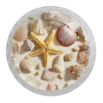 Knobs Cabinet Knobs, pacote com 4 conchas marinhas e estrelas do mar, ABS branco