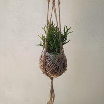 Kokedama de ripsalis com macramê hanger neutro Kokedama de ripsalis com macramê hanger neutro