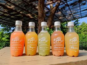 Kombucha - Chá fermentado probiótico - bebida gaseificada naturalmente - diversos sabores - 300ml cada Kippys Natural