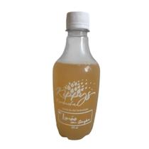 Kombucha - Chá Fermentado Probiótico - Bebida Gaseificada Naturalmente - Diversos Sabores - 300ml