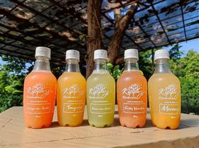 Kombucha - Chá Fermentado Probiótico - Bebida Gaseificada Naturalmente - Kit com 6 Unidades de 300ml Cada