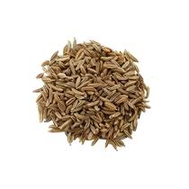 Kummel Semente - 1kg Kummel Semente - 1kg