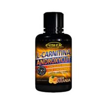 L-Carnitina 480ml - Power Supplements - Sanibrás