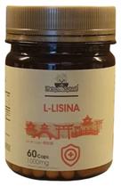 L-lisina 60 caps folhas e raizes L-lisina 60 caps folhas e raizes