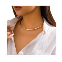 L02105-Colar Elegante Argola