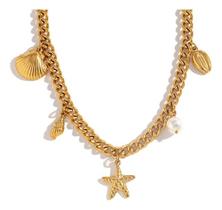 L6925-Colar Aço Cirúrgico Luxo Corrente Estrela Concha 4o30158