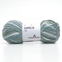 Lã Família Cores 40g