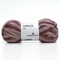 Lã Família Cores 40g