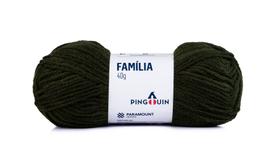 Lã Família Marca Pingouin 40 gramas