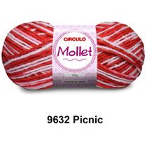 Lã Fio Mollet Círculo 100g 200m Novelo Multicolor - Cores