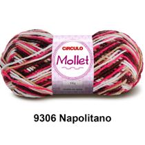 Lã Fio Mollet Círculo 100g 200m Novelo Multicolor - Cores