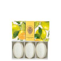 La Florentina Cx Sabonete Italiano BOBOLI CITRUS 3x150g