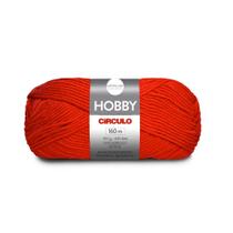 Lã Hobby 100g - Circulo