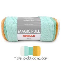 Lã Magic Pull Círculo 200g 306m