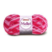 Lã Mollet Circulo 100g Mescladas