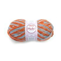 Lã Mollet Círculo 100gr C/200 Metros - Multicor