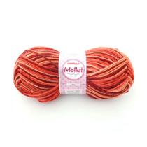 Lã Mollet Círculo 100gr C/200 Metros - Multicor Lã Mollet Círculo 100gr C/200 Metros - Multicor