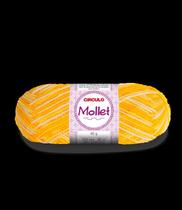 Lã Mollet Círculo 40g 80mts - Fio para Crochê, Tricô e Artesanato