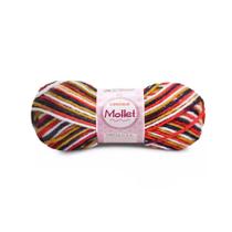 Lã Mollet Círculo 40gr C/80 Metros - Multicor