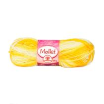 Lã Mollet Círculo 40gr C/80 Metros - Multicor