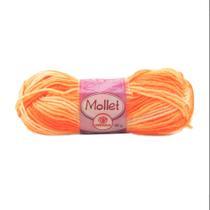 Lã Mollet Círculo 40gr C/80 Metros - Multicor
